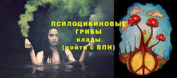 спиды Мегион