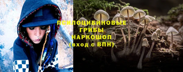 СК Медногорск