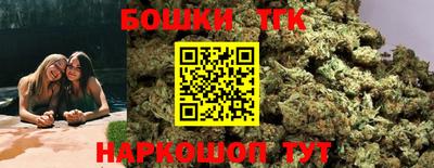 гидропоника Камышлов
