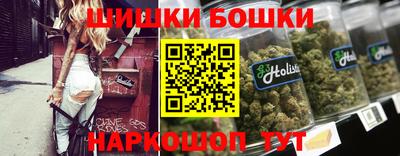 СК Дубна