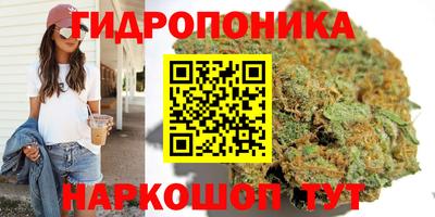 твердый Донецк