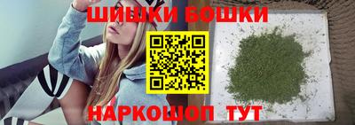 СК Дубна