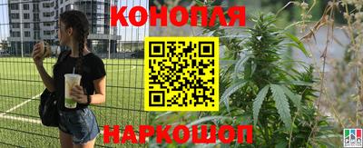 стаф Донской