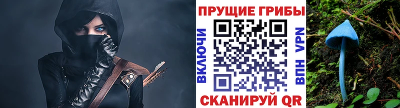 ОМГ ОМГ ССЫЛКА  Самара  Псилоцибиновые грибы Psilocybine cubensis 