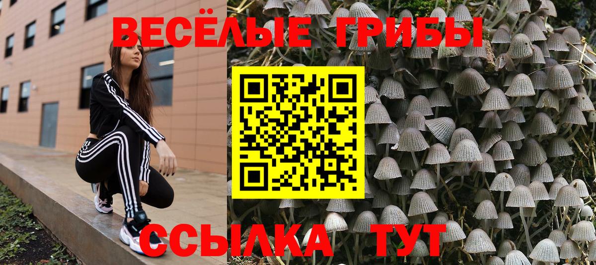 Галлюциногенные грибы прущие грибы Самара