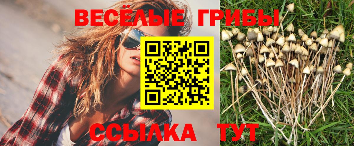 Самара  Псилоцибиновые грибы Magic Shrooms  Вход с VPN 