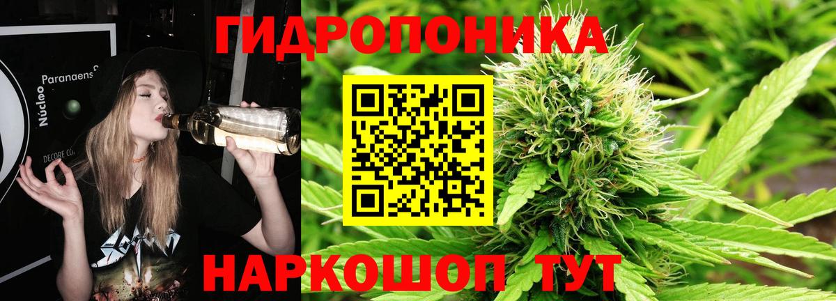 Бошки Шишки индика Самара